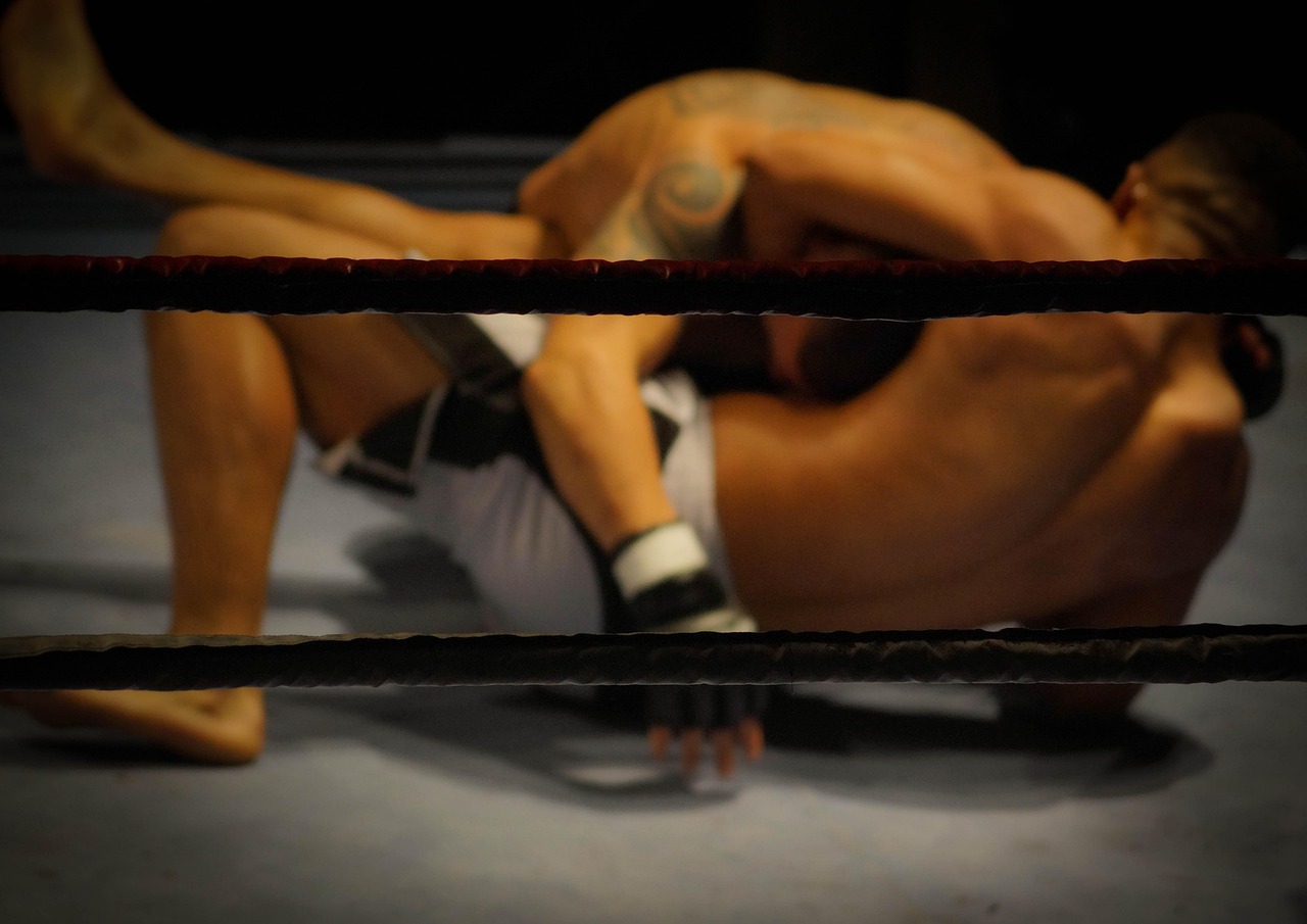 mma sport